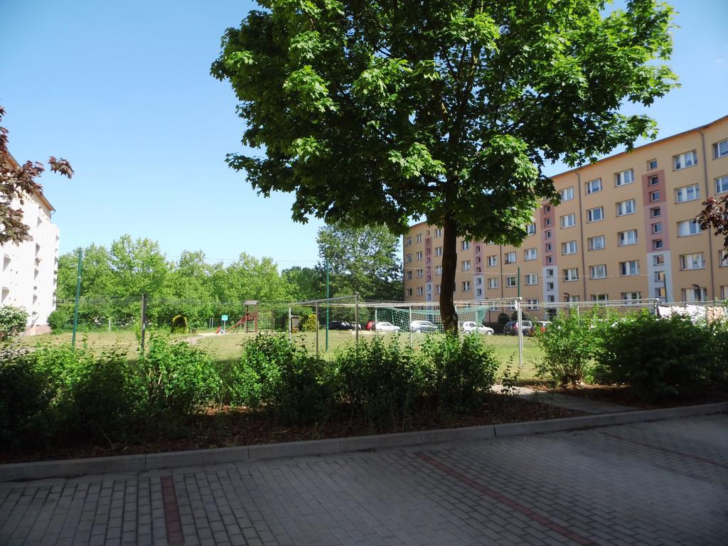 Apartment Schöne 2-zimmer-parterre Wf